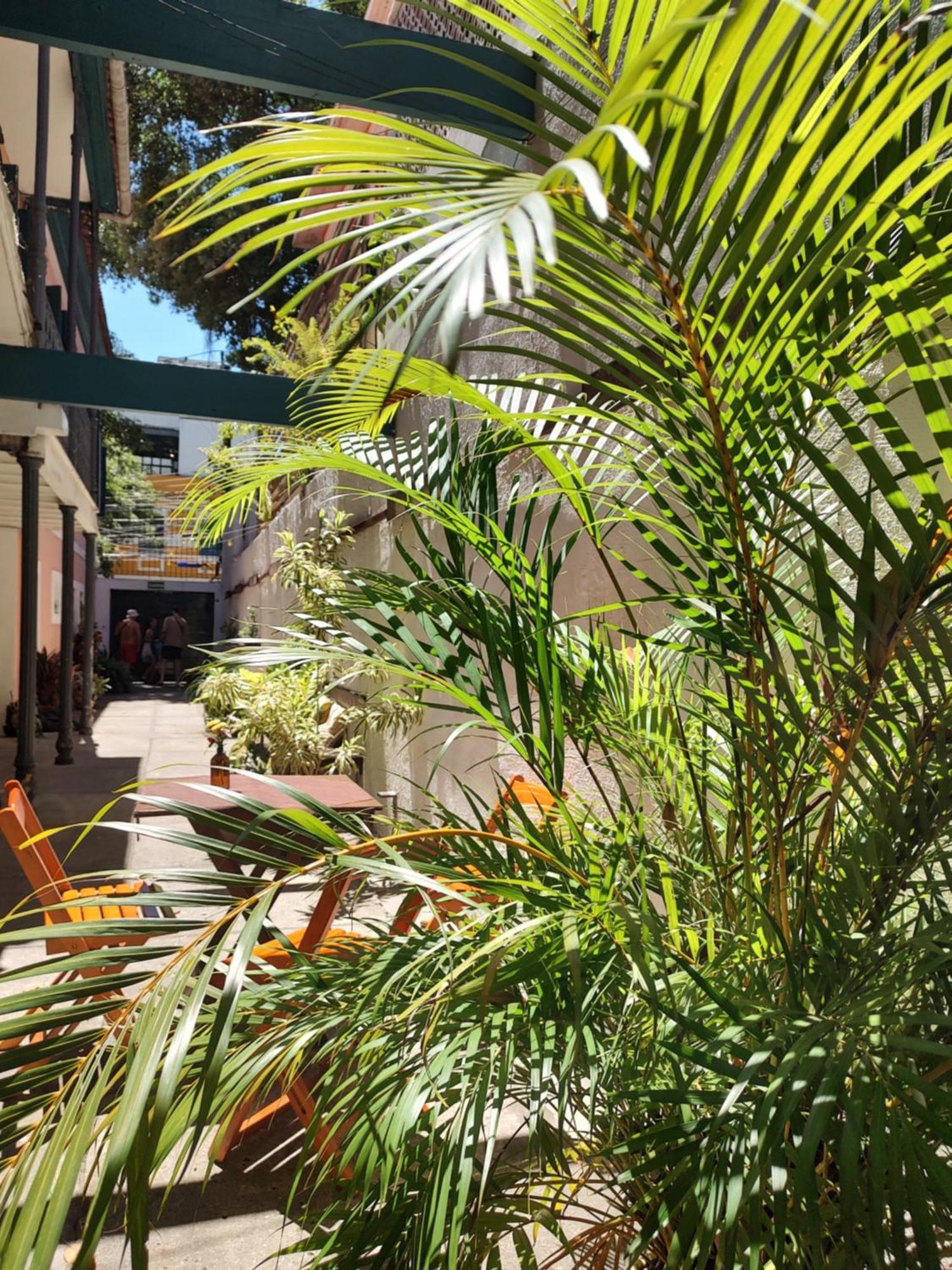Hospedaria Rio Rio de Janeiro Exterior photo