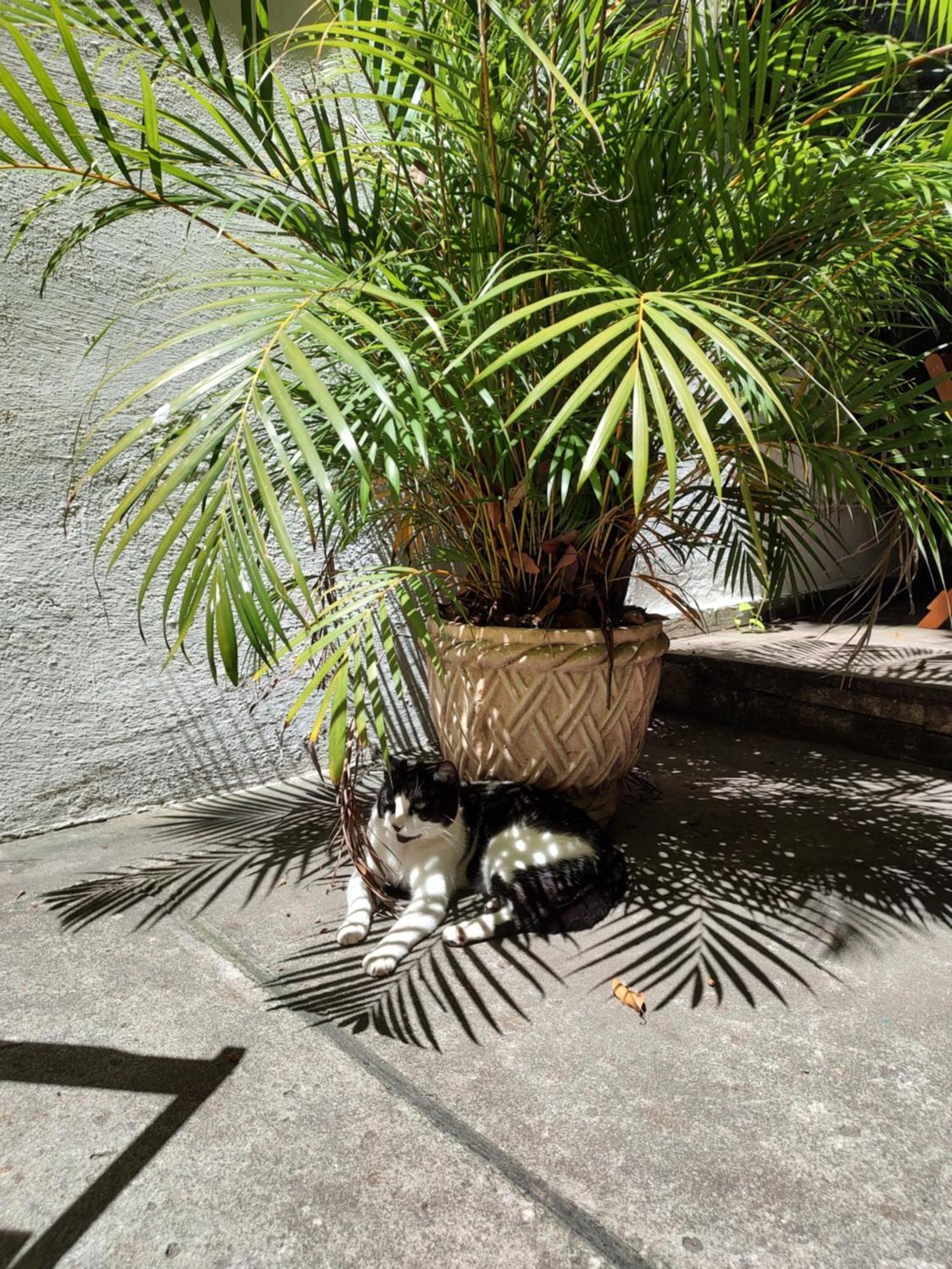 Hospedaria Rio Rio de Janeiro Exterior photo